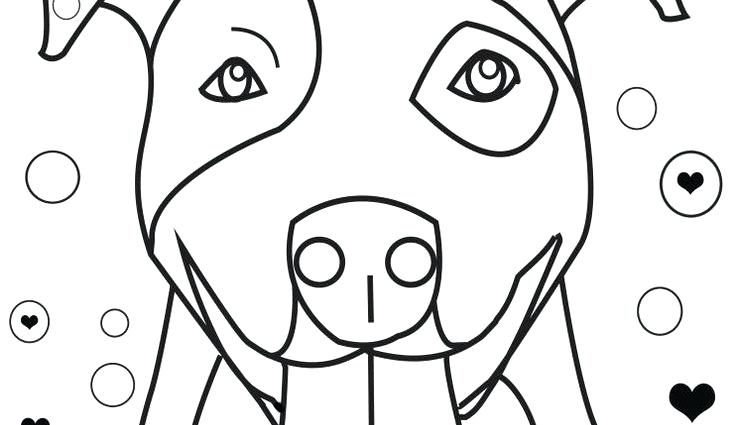 736x425 Pitbull Coloring Page Coloring Pages Full Size Of Coloring Easy