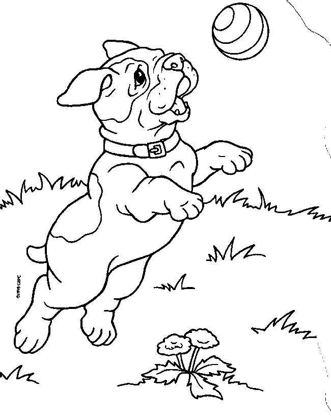 650x816 Pitbull Coloring Pages Pitbull Puppy Coloring Pages Kids