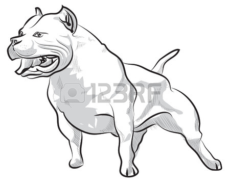 450x365 Pitbull Stock Photos. Royalty Free Business Images