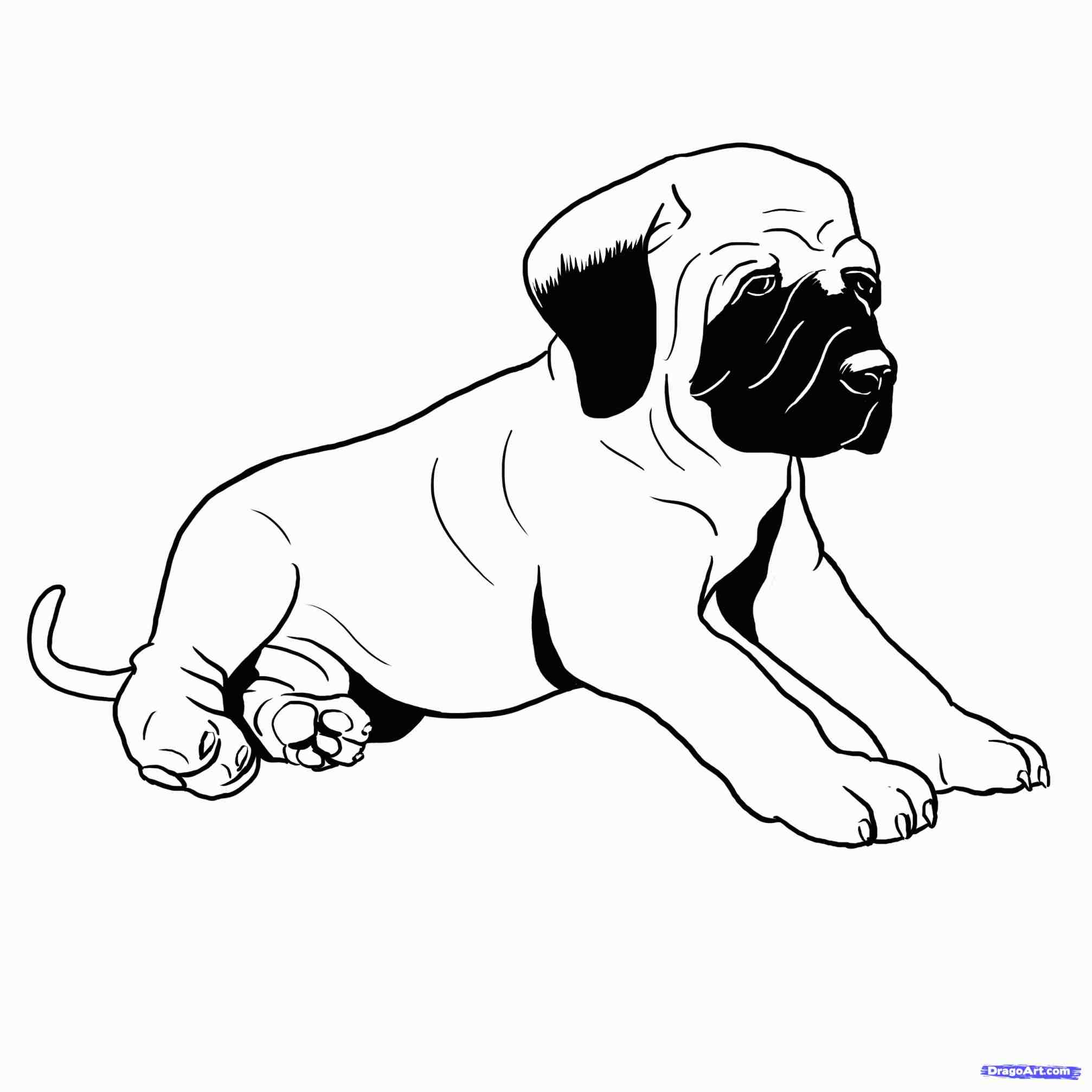 2014x2014 Pumpkin Crving Stencil Pho Lern Mstiff Bullmstiff Dog Pets