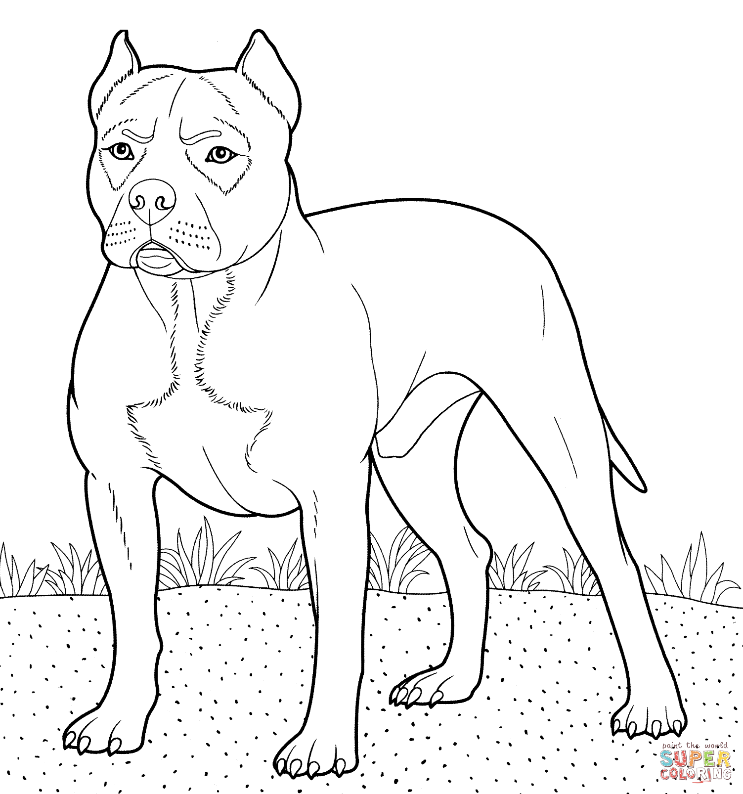 1503x1606 Image Result For How To Draw A Pitbull Face Animal Drawings