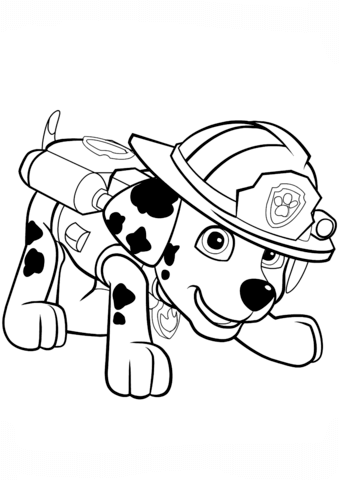 339x480 Pitbull Puppies Coloring Pages Tags Coloring Pages Puppies