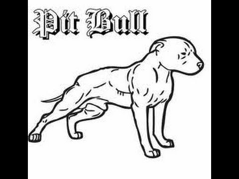 480x360 American Pit Bulls In South Africa