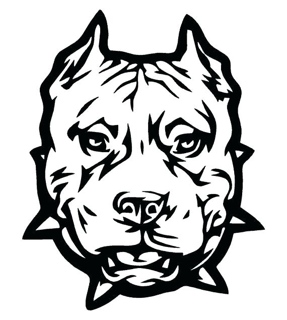 570x635 Best Of Pitbull Coloring Pages Pictures Pit Bull Terrier Coloring