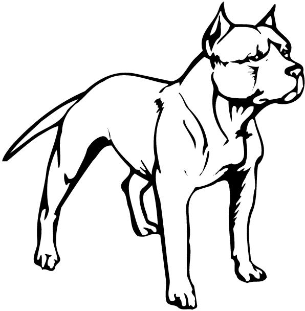 596x608 Clipart Of A Pit Bull