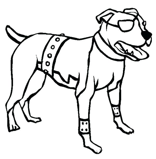 600x612 Drawn Pit Bull Boxer Dog 3407545