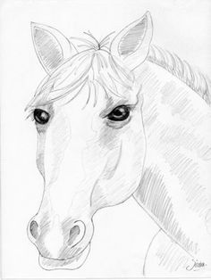 236x314 How To Draw Horse Heads, Step By Step, Farm Animals, Animals, Free