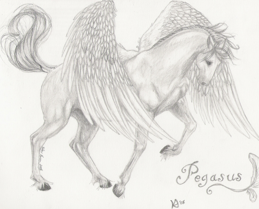 900x726 Pegasus By Pegacorn Master