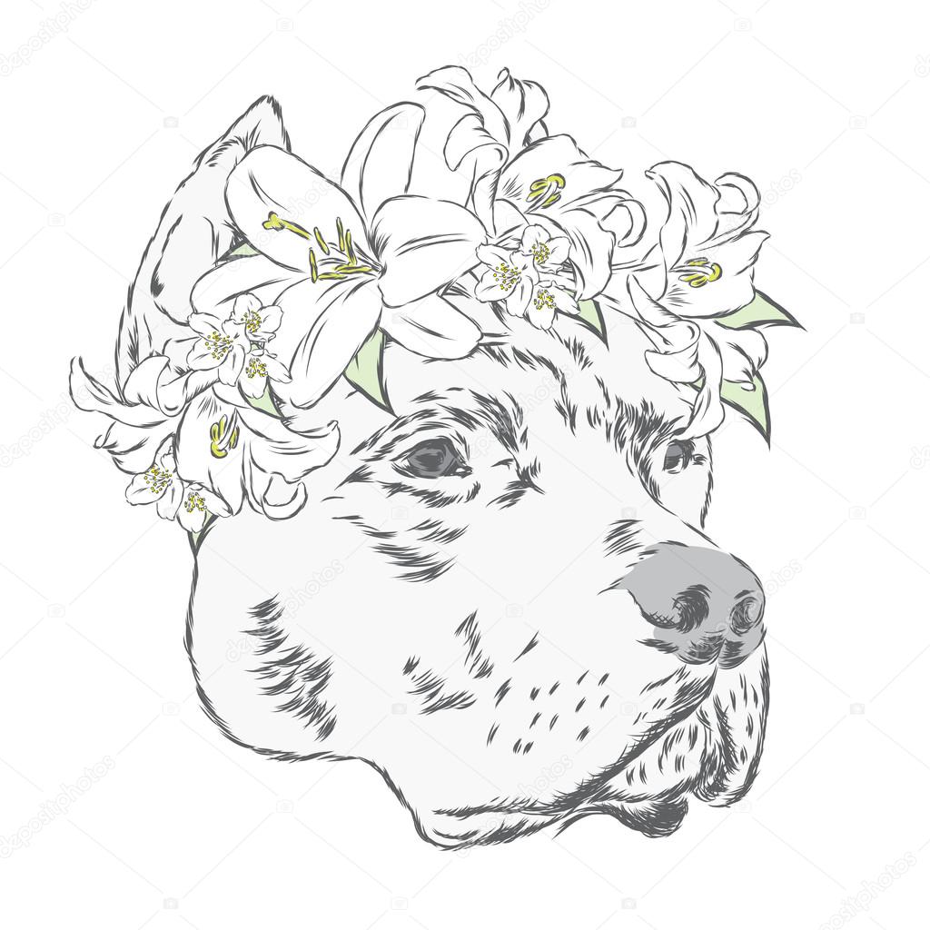 1024x1024 Pitbull In A Wreath Of Flowers. Vector Illustration. Stock