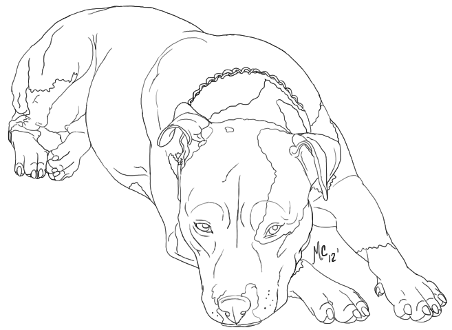 657x479 Showing Post Amp Media For Sad Pitbull Sketches Drawings