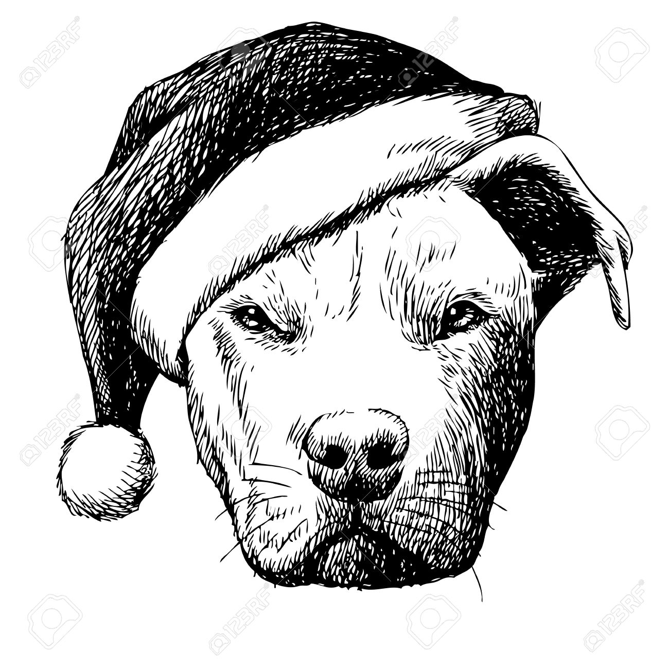 1300x1300 Freehand Sketch Illustration Of Pitbull Dog With Christmas Santa