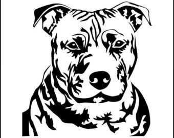 340x270 43 Best Pitbull,pit Bull Dog Signs Images On Pit Bull