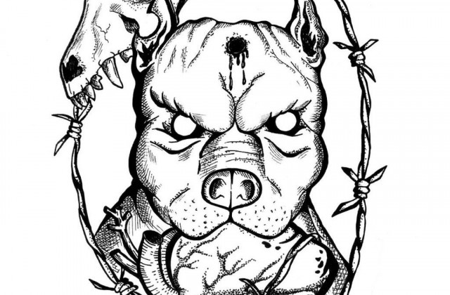 American Bully Coloring Page Coloring Pages