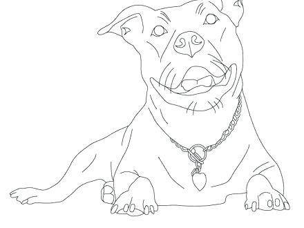 440x330 Coloring Pages Of Pit Bulls Coloring Pages Of Pit Bulls