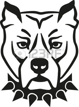 331x450 Pit Bull Dog Stock Photos. Royalty Free Business Images