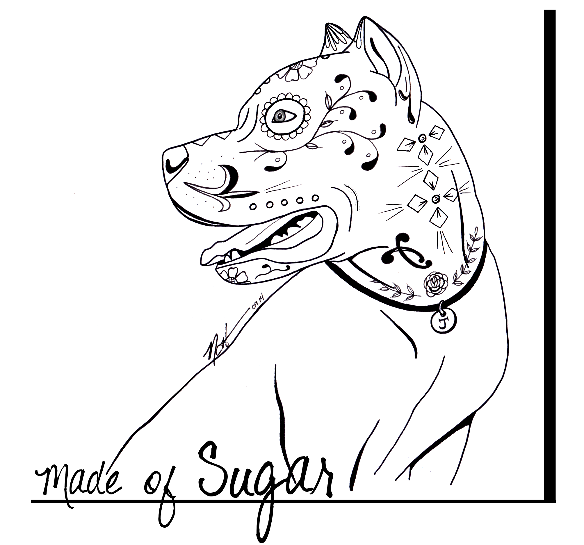 2008x1874 Pitbull Sugar Skull Coloring Pages Night Sugar