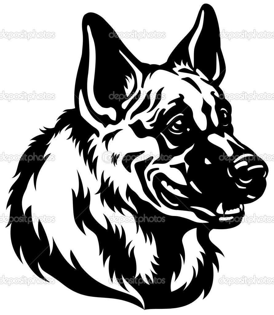 891x1024 Depositphotos 36882575 German Shepherd Head Black White.jpg 891