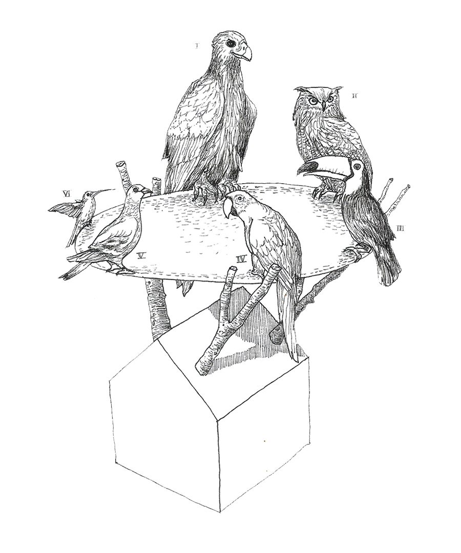 900x1080 Migrant Garden