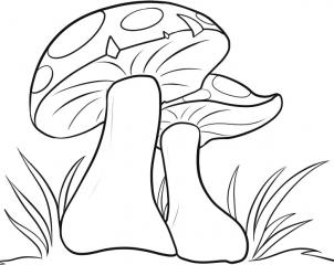 302x240 How To Draw How To Draw Mushrooms
