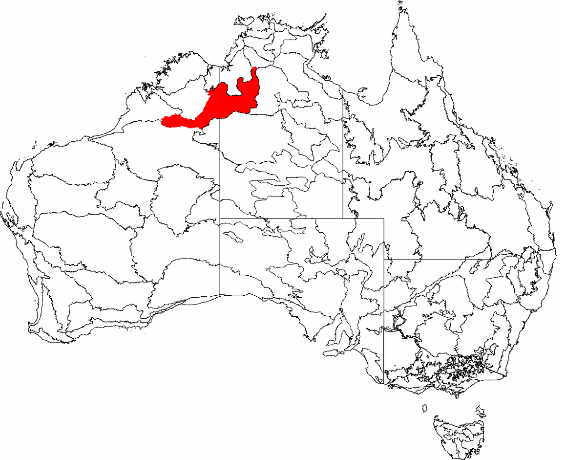 1200x941 Ord Victoria Plain