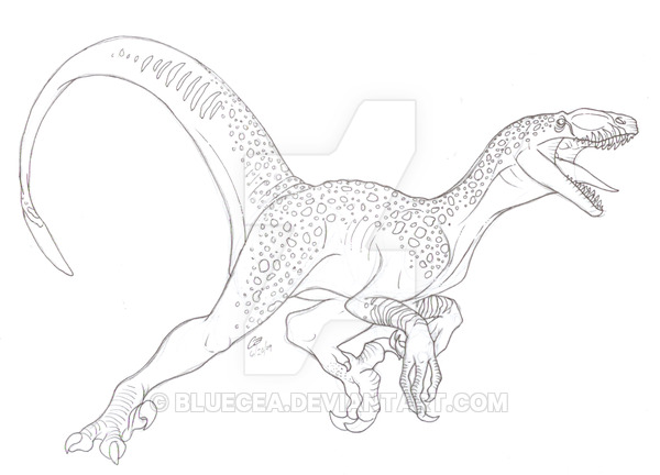 600x432 Plains Raptor By Bluecea