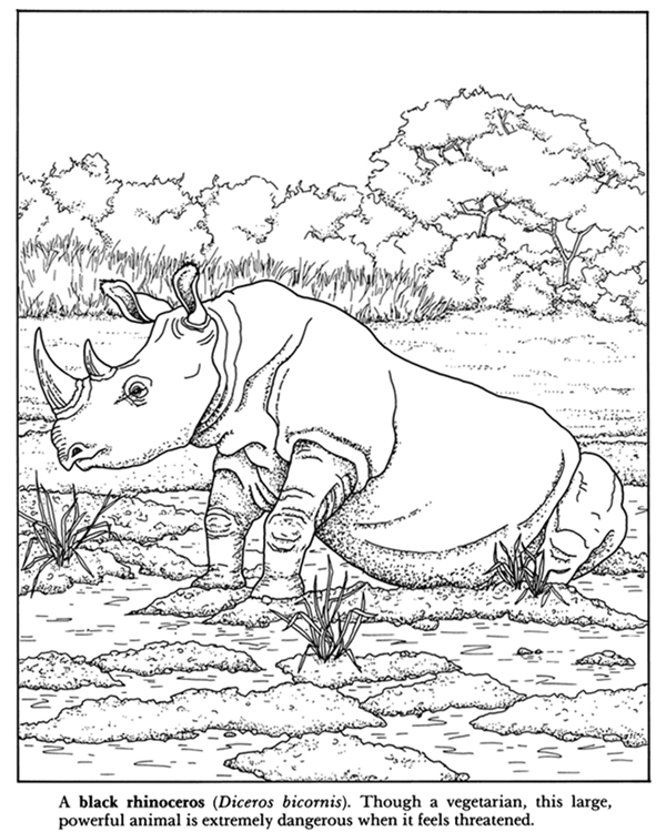 600x750 African Plains Coloring Book Dover Publications Coloring Pages