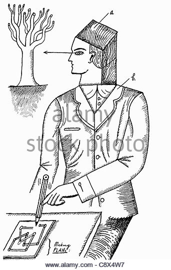 342x540 Tree Line Drawing Stock Photos Amp Tree Line Drawing Stock Images