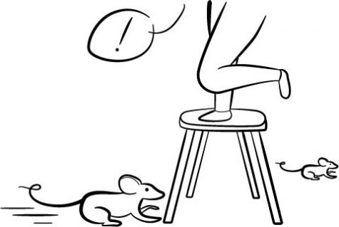 475x319 Author Ids Victims Of 1948 Plane Crash The Daily Aztec