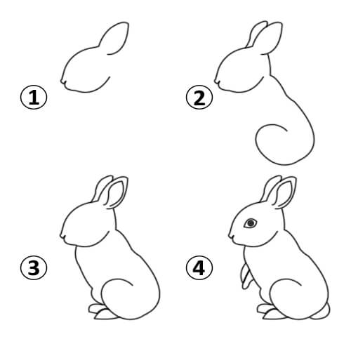 500x500 How To Draw A Rabbit