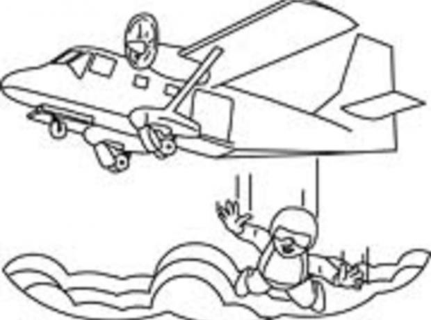 620x460 Flag Day Or Jump Out Of A Plane