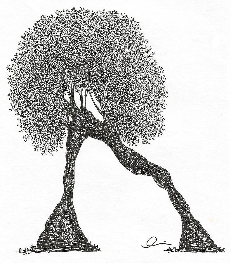 791x900 Plank Drawing By Andrea Currie