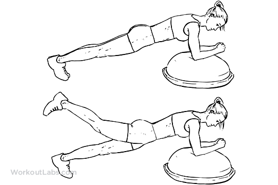 540x360 Bosu Ball Plank Leg Lifts Workoutlabs