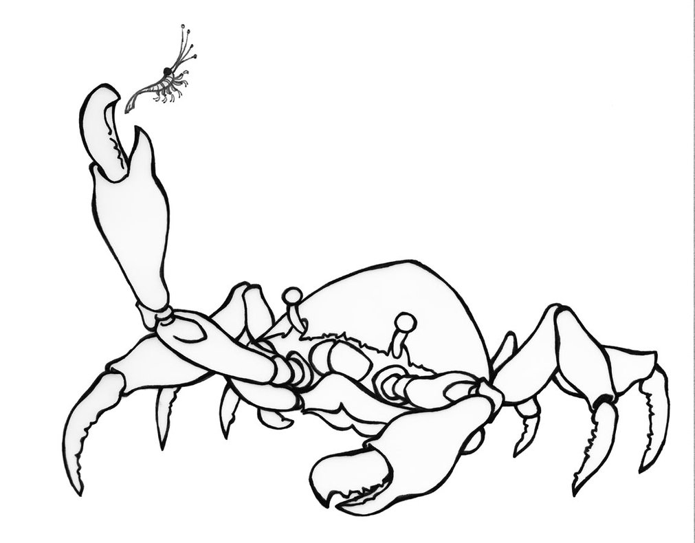 1011x790 Crab Vs. Plankton By Faidoca