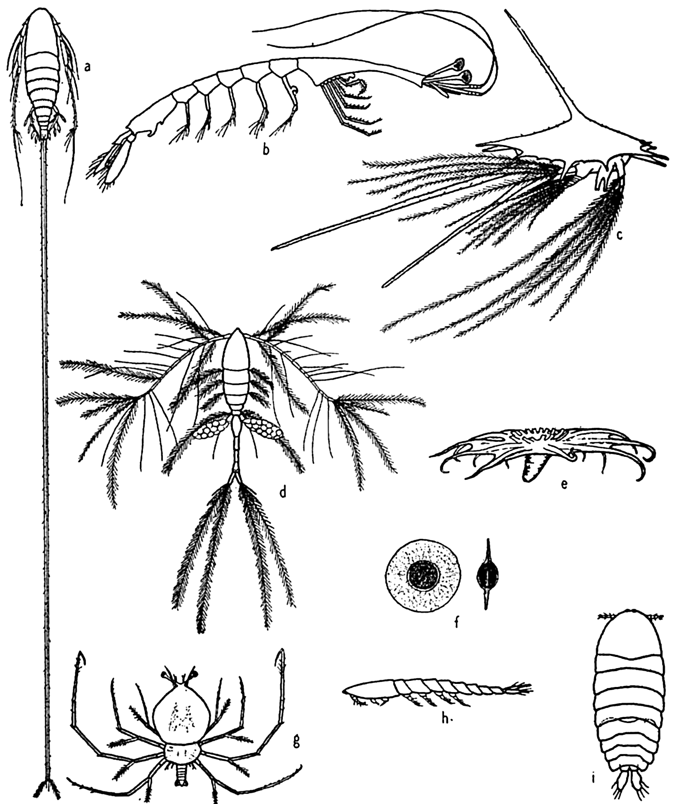 1331x1580 The Oceans Their Physics, Chemistry, And General Biology