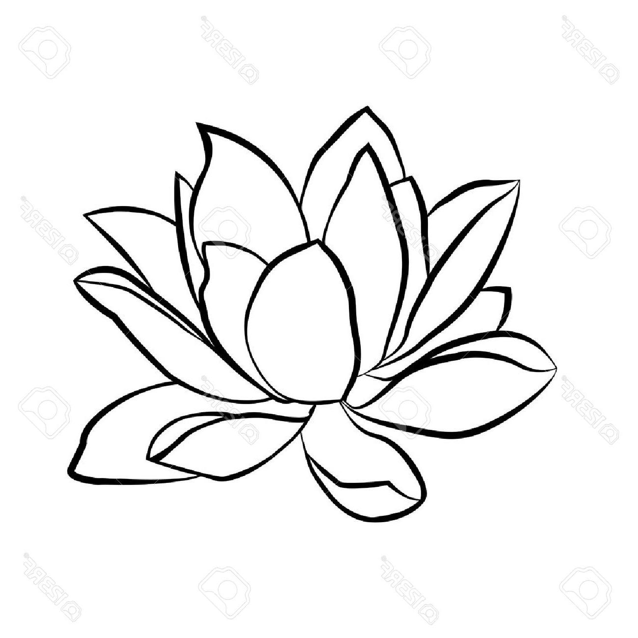 1300x1300 Top Lotus Flowers Icon The Black Line Drawn On White Background