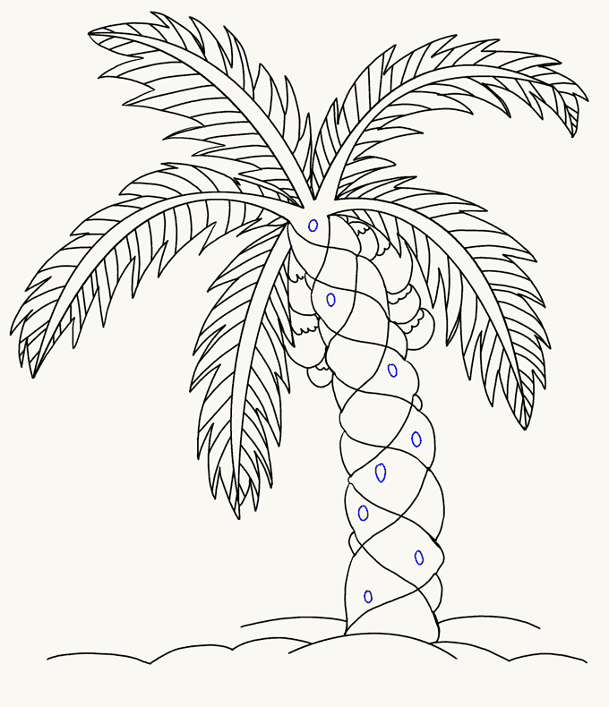 680x790 How To Draw A Palm Tree Easy Drawing Guides