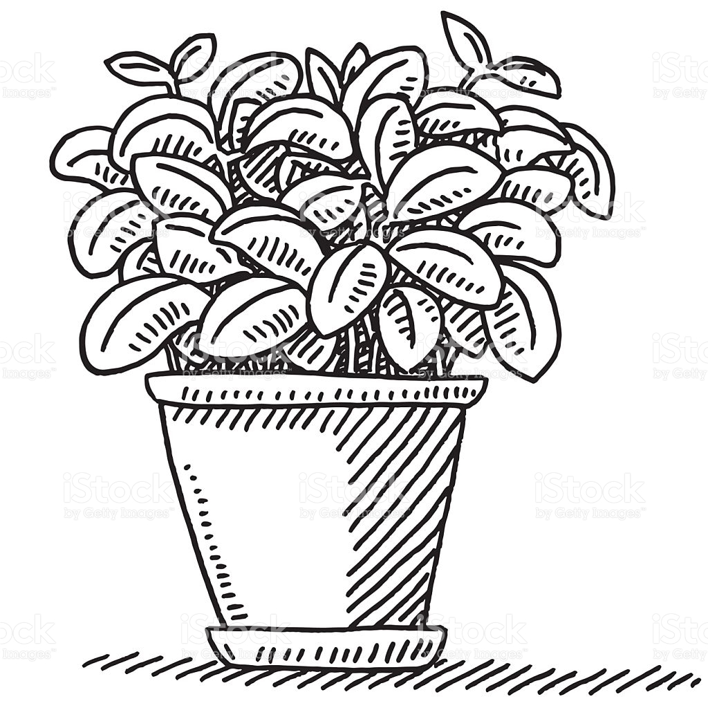 1024x1024 Drawn Pot Plant Art