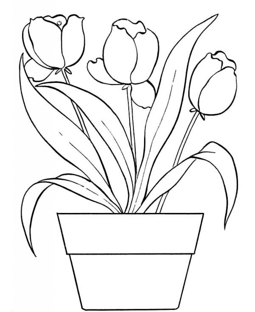 837x1024 Flower Pot Coloring Page 3359