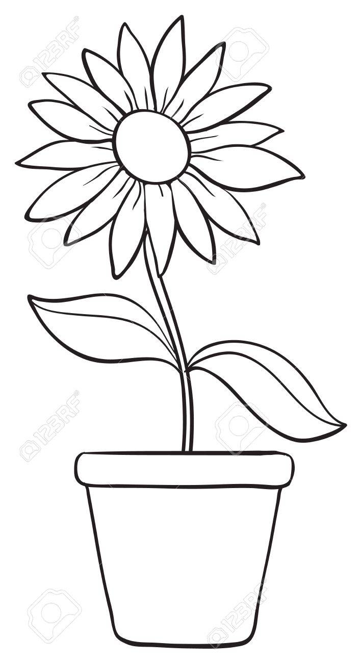 708x1300 Gallery Flower Pot Sketch Image,