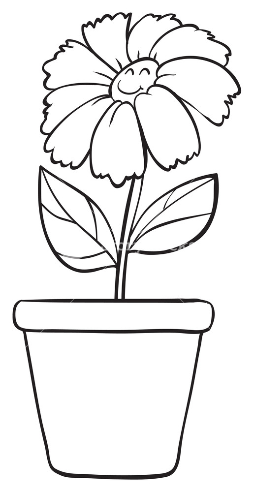 516x1000 Illustration Of A Blue Flower And Pot Sketch On White Background