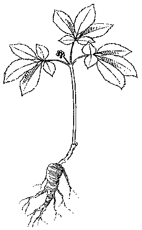 293x474 Wayne National Forest