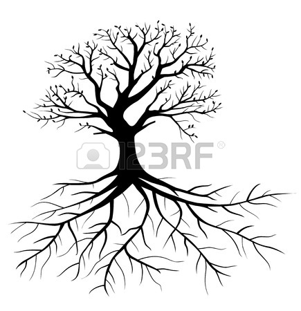435x450 Whole Black Tree With Roots Isolated White Background Royalty Free