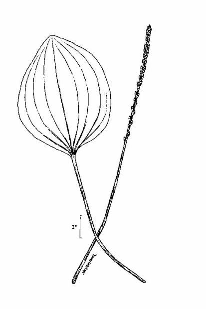 413x620 Photo Gallery 3