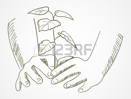 450x338 Line Art Of Hands Planting The Tree Royalty Free Cliparts, Vectors