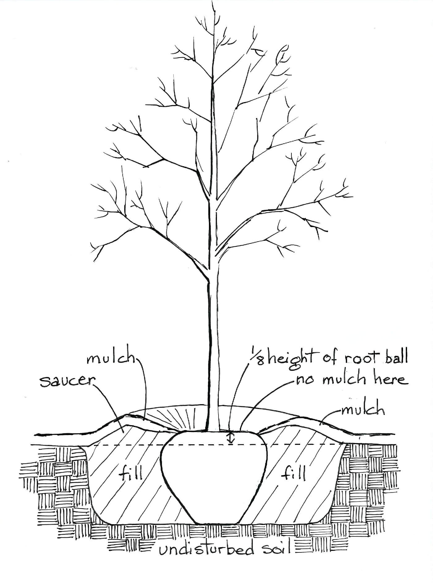 1401x1887 Place Amp Plant Yard Proud Design