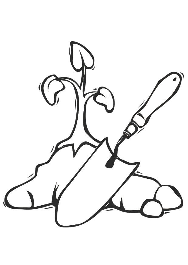 620x875 Coloring Page Planting A Tree