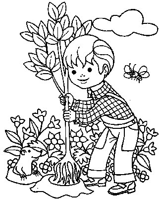 Planting Trees Drawing at GetDrawings | Free download