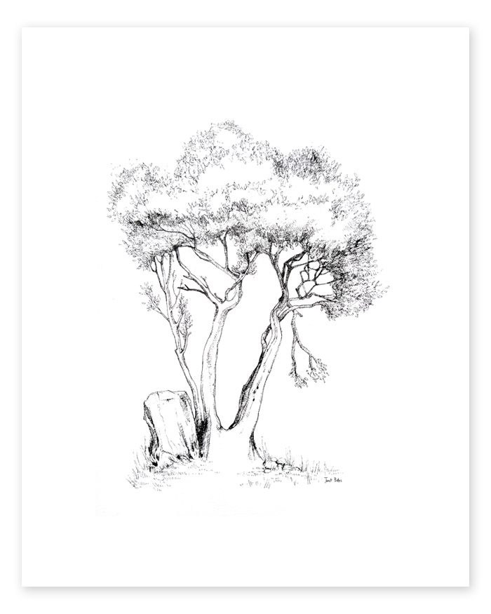 700x875 Plant Trees By Donating Trees Or Buying A Tree Print
