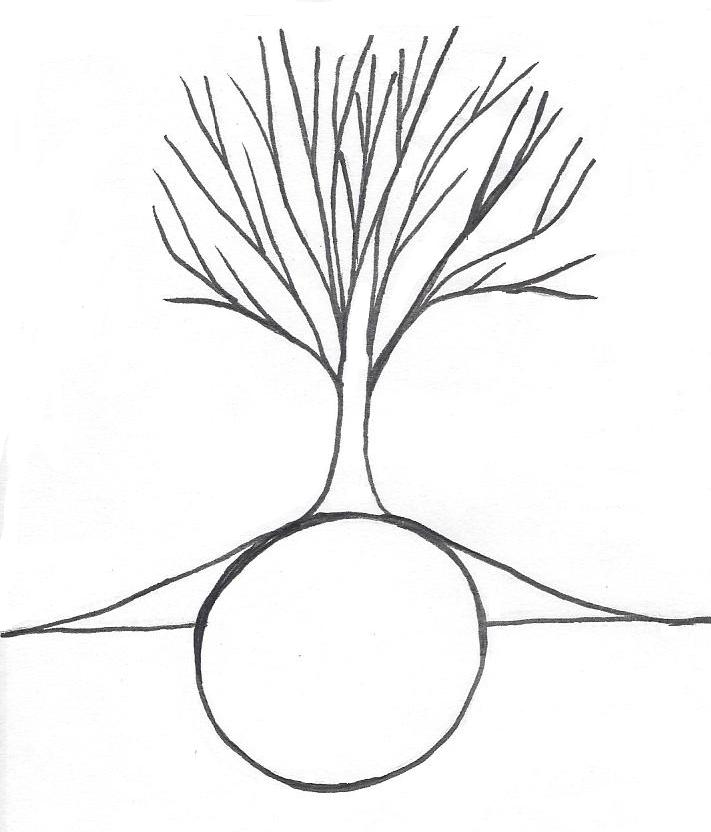 711x832 Planting Instructions Jason Wilkinson Nursery