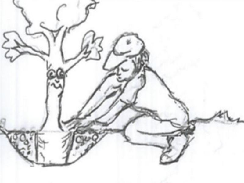 800x600 Tree Planting Tips